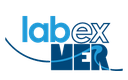 Labex logo - Frontiers in marine research