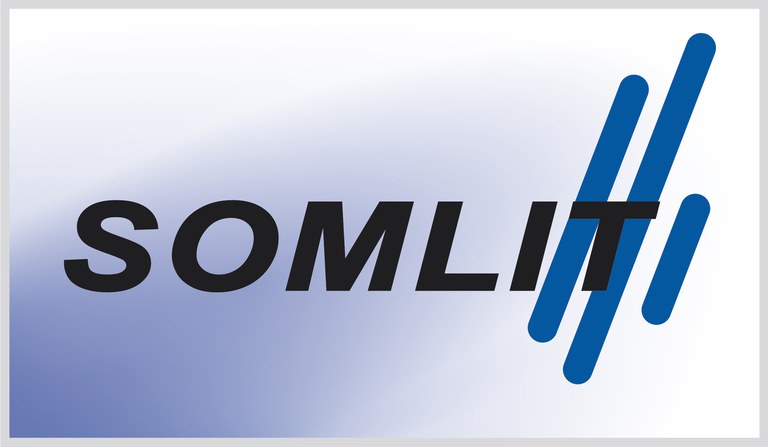 Logo Somlit.jpg