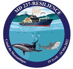 RESILIENCE campaign logo