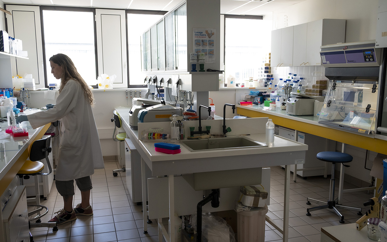 biomol-1