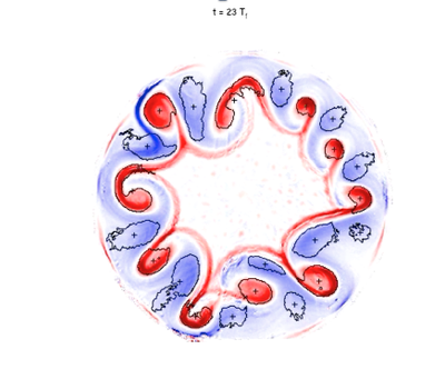 PIV vorticity in lab